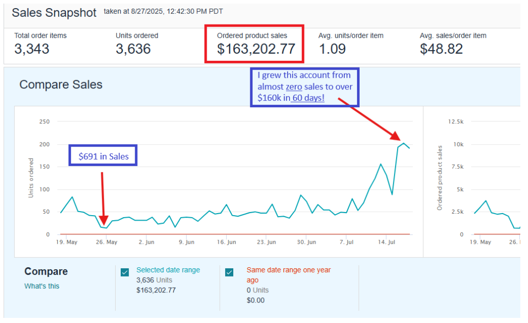 Amazon Product Launch - $163K in 60 Days