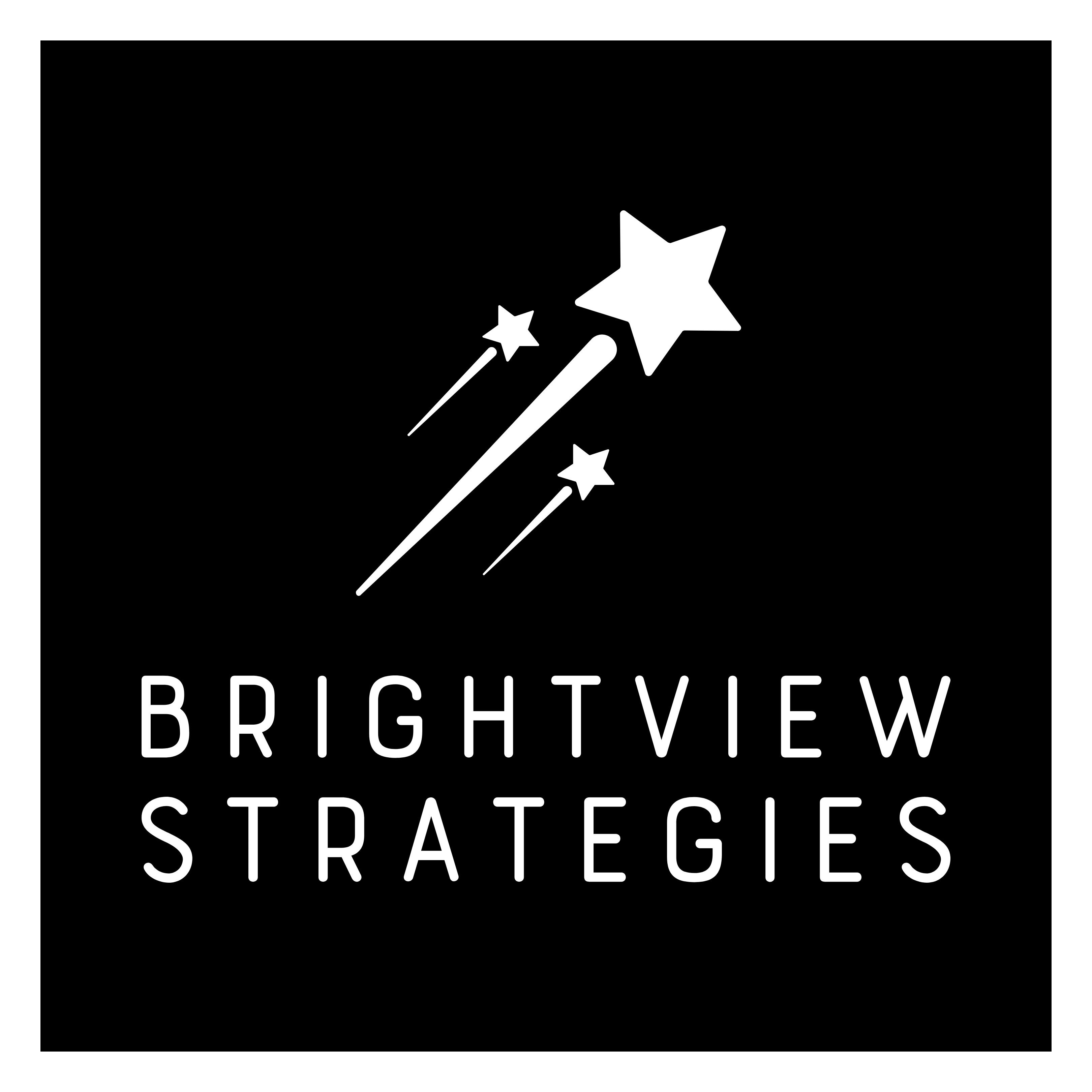 Brightview Strategies Logo